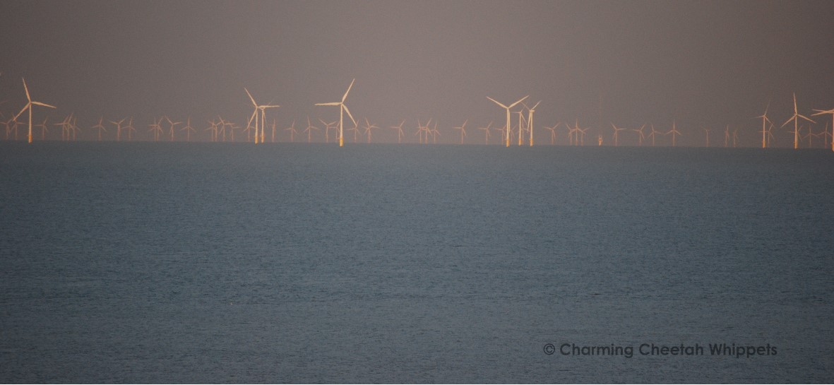 Holland2011
