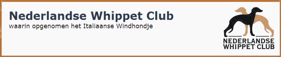 Niederländischer Whippetclub 