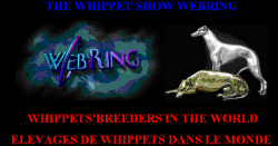 Webring Logo