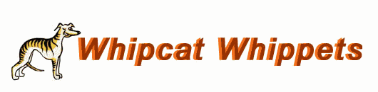 Whipcat Logo